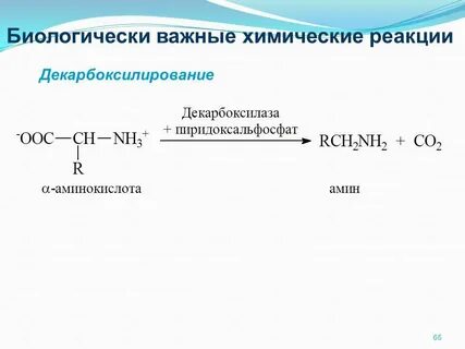 Реакции аминокислот