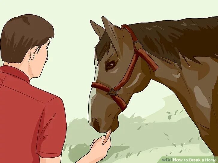 Wiki horses. Объездить лошадь. Игра разбить коня. Как объездить лошадь. How to Break a Horse.