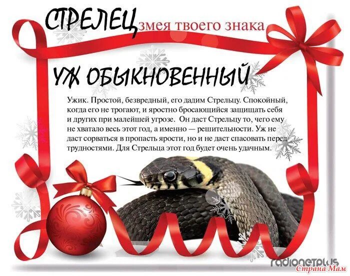 змея телец мужчина. виды года змеи по гороскопу. змея по гороскопу. год змеи по месяцам. год змеи характеристика.