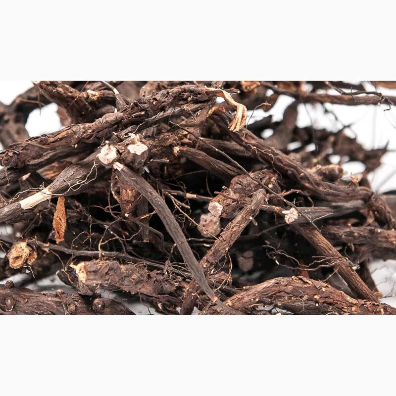 Лапчатки (корневища 50г ) здоровье зао-россия. Корневище лапчатки препарат. Корневища лапчатки сырье. Корневища лапчатки прямостоячей аптека купить. Лапчатка корневища, пачка 50г набахино.