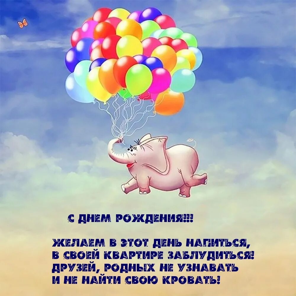 Смешная фраза пожелание. Слон на воздушных шариках. Позитивные пожелания. Позитивные открытки. Красивые позитивные высказывания.