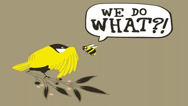 Birds and bees. Of Birds and Bees игра. Рисунок идиома the Birds and the Bees. Рисунок the Birds and the Bees. Telex Birds and Bees.