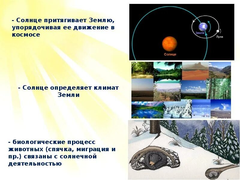 Что влияет на землю. Влияние солнца на землю. влияние солнца на земные процессы. влияние солнца на почву. солнечный свет на земле сообщение.