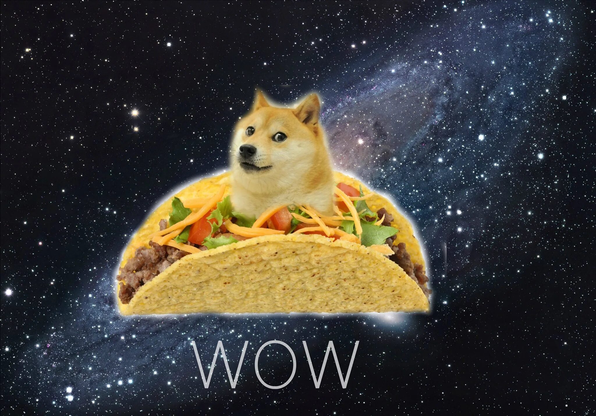 Доги Мем. Доги на рабочий стол. Собака wow. Doge собака.