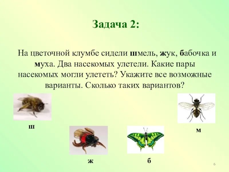 Каких 2 насекомых. Улетели какие насекомые. муха и бабочка. два насекомых. пары насекомых.