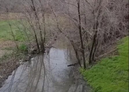 Расчистка русел малых рек
