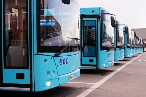 Новые автобусы спб