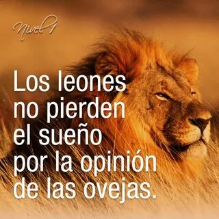 Los leones
