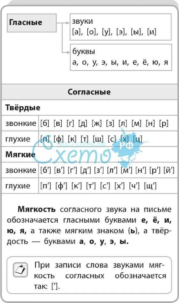 Звуки в 1 месяц. Мягкие буквы гласные и согласные. Буквы гласные и согласные Твердые и мягкие звонкие глухие. Гласные и согласные буквы звуки мягкие и Твердые. Согласные гласные звонкие глухие Твердые мягкие таблица.