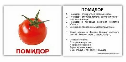 Значение слова помидор