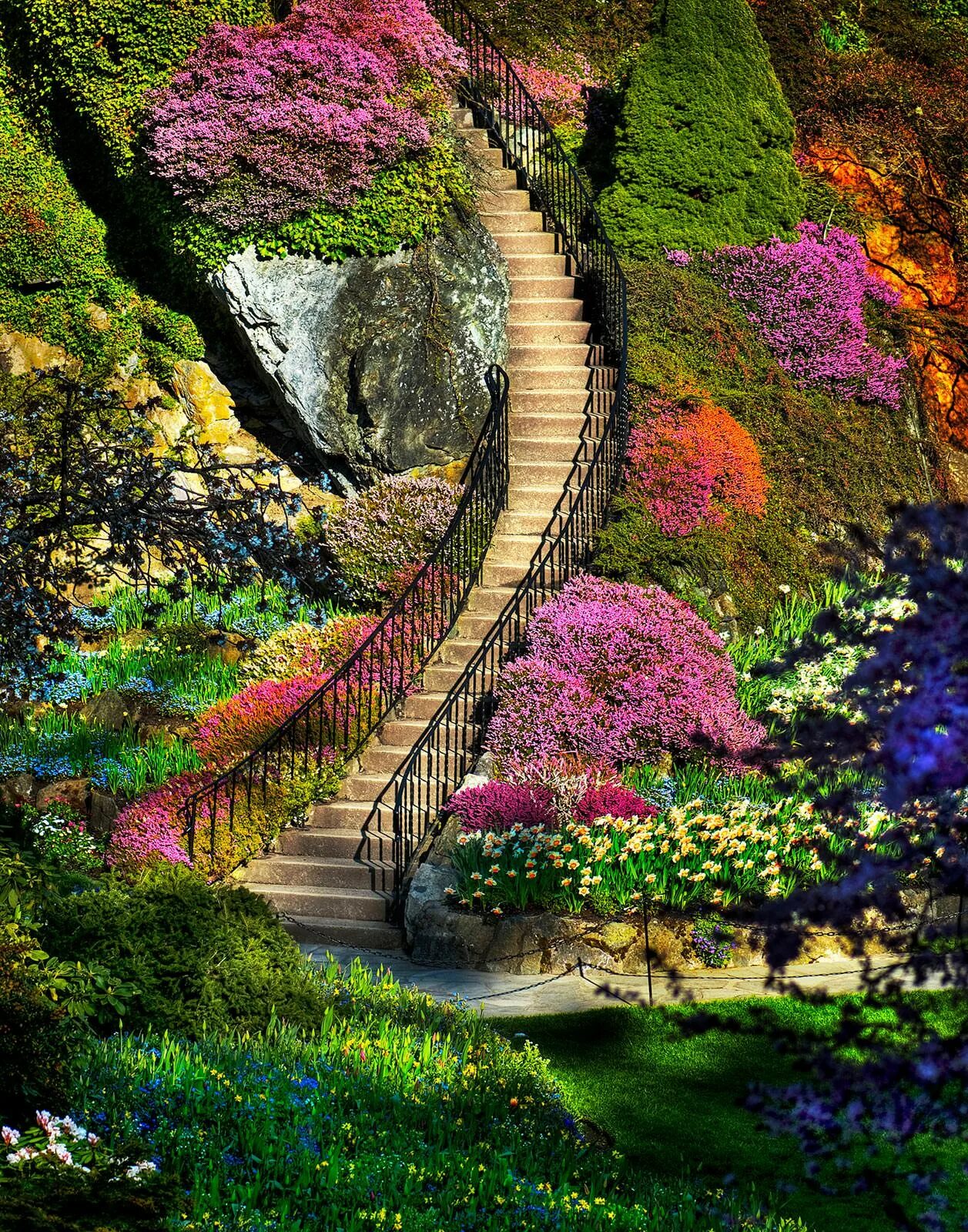Сады Бутчартов Канада. &quot;Сады Бутчартов (the Butchart Gardens) Ванкувер, Канада. Сады Бутчартов Британская Колумбия Канада. Яркие цветочные сады Бутчартов в Канаде