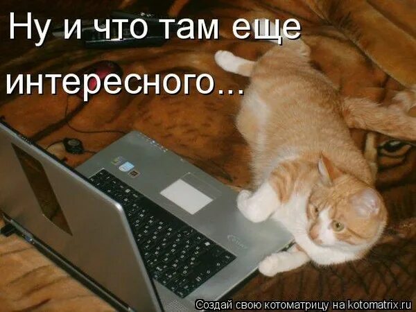 Интернет интернет отпусти в туалет полчаса. Интернет интернет отпусти меня в туалет. Изречения будды. Отпускаю картинки. Бухгалтер прикол.