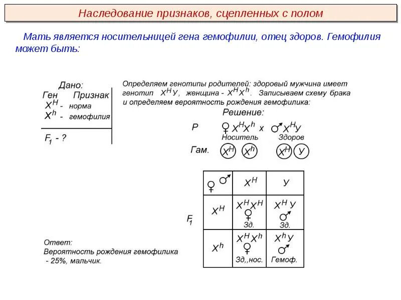 Генотип женщины страдающей гемофилией. Наследование признаков сцепленных с полом. Наследование признаков сцепленных с полом гемофилия. Задачи на сцепленное с полом наследование гемофилия. Мать является носительницей Гена гемофилии отец здоров.