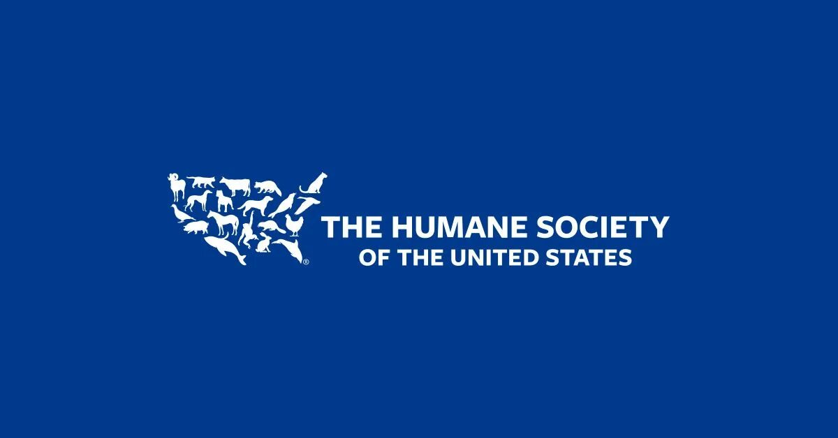 The state human
