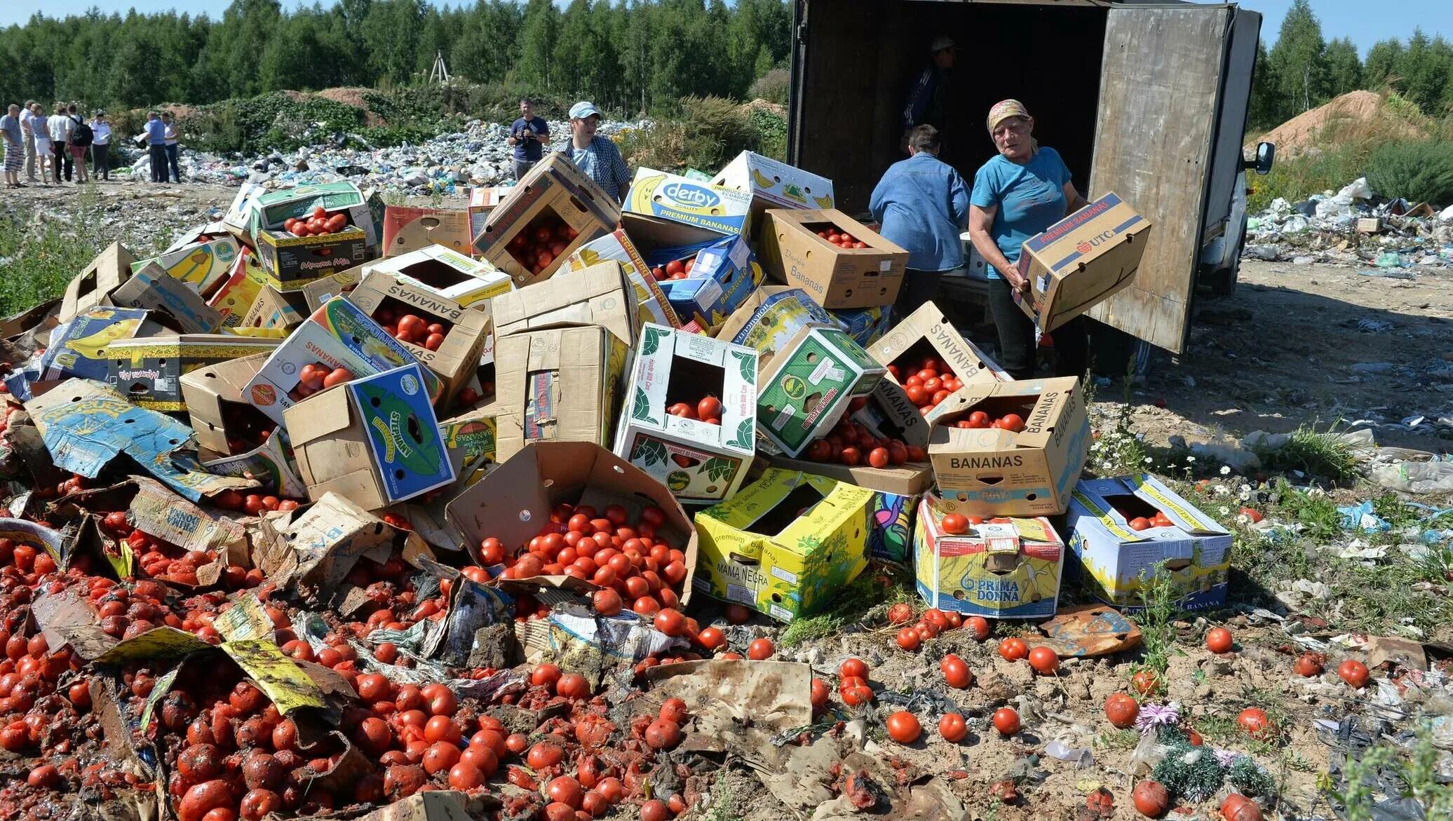 Свалка еды. Продукты на помойке. Свалка пищевых отходов. Продукты на свалке. Уезжать куча