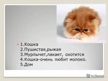 Синквейн про кота в сапогах 2