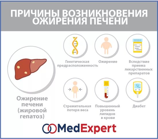 Заболевания печени ожирение. Гепатоз печени симптомы. жировой гепатоз печени симптомы. ожирение печени симптомы. жировой гепатоз печени симптомы у женщин.
