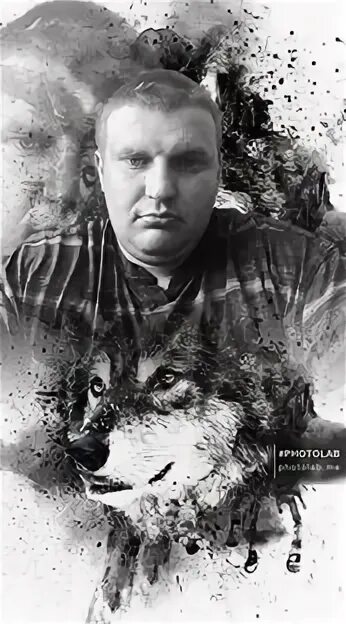 Коля коля дзен. Коля коля дзен. Коля коля дзен. Коля коля дзен. Коля коля дзен.