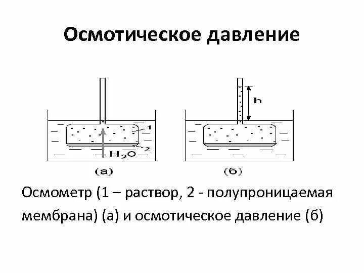 Методы определения осмотического давления. Методы определения осмотического давления