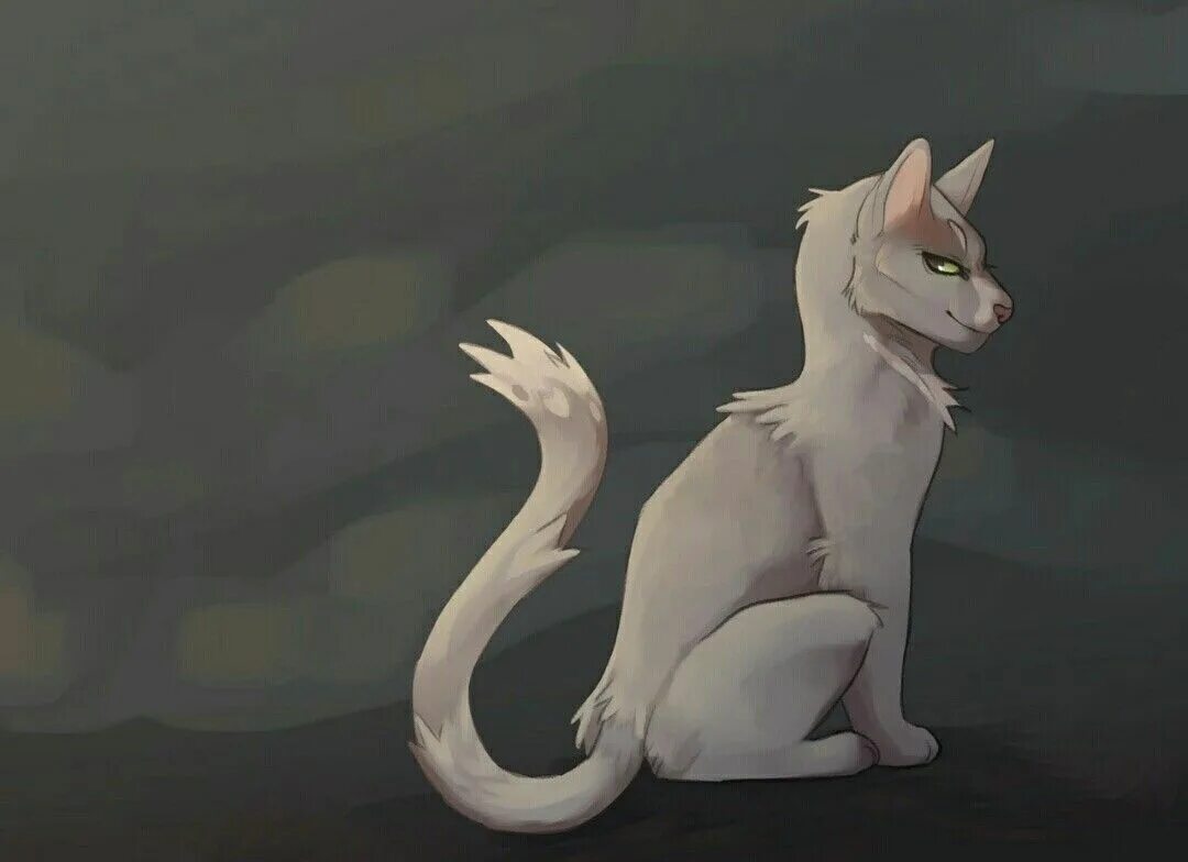 Коты воители иглохвостая. Коты воители глаткоусая. Коты воители иглохвостка. Коты воители арты иглохвостка. Коты воители иглохвостая и дождь.