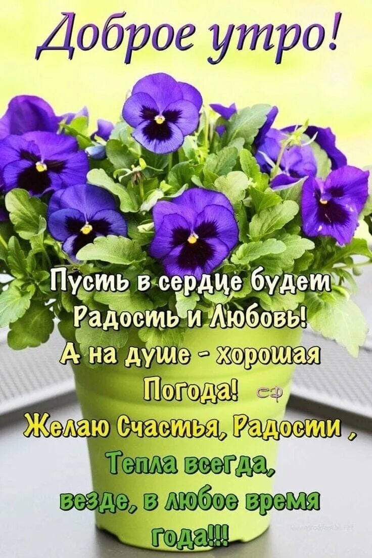 Открытки с божьими пожеланиями добрым утром. Христианские пожелания с добрым утром. Доброе утро благословенного дея. Открытки с добрым. Православные поздравления с добрым утром.