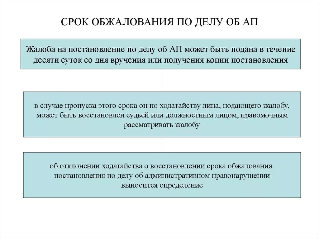 Сроки апелляционного обжалования приговора суда