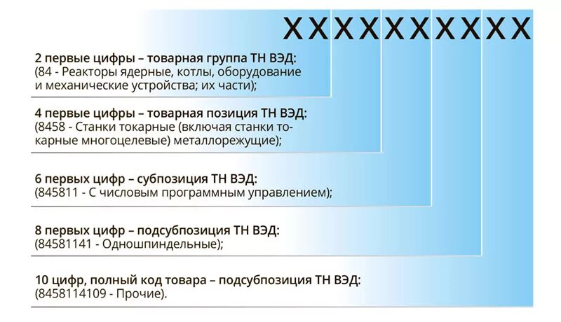 Окпд соответствие тн вэд. Код тн ВЭД Евразийского экономического Союза. Структура тн ВЭД ЕАЭС. Структура товарного кода тн ВЭД ЕАЭС. Код товарной номенклатуры внешнеэкономической деятельности.