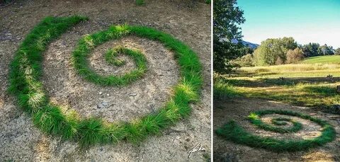 Круглая поляна
