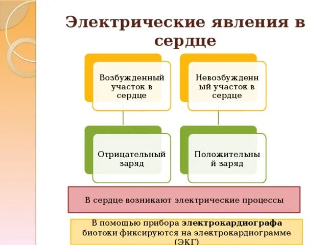 Электрические явления в сердце экг. Элементы экг и электрические явления в сердце. Электрокардиография это метод регистрации. Экг определение анализ экг. Элементы экг и электрические явления в сердце.
