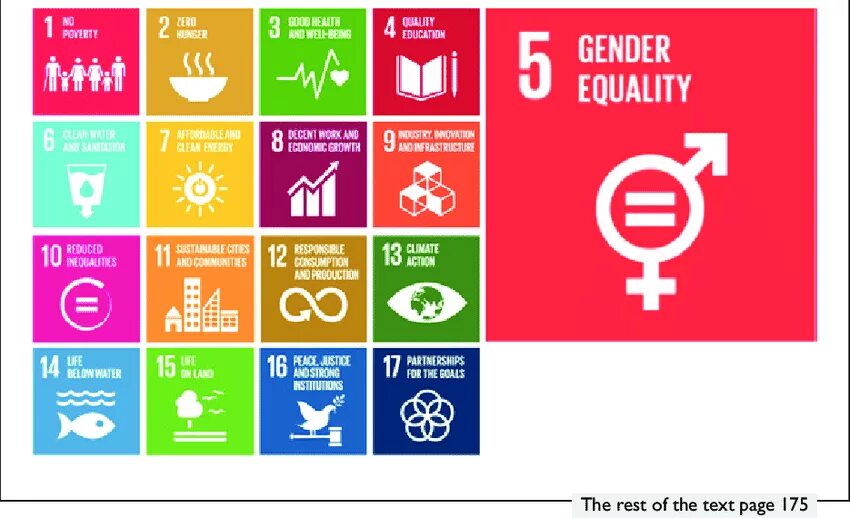 SDG 5. Un Gender equality. SDG 5 Gender equality. Sustainable Development goals Gender equality. Gender 1.16 5