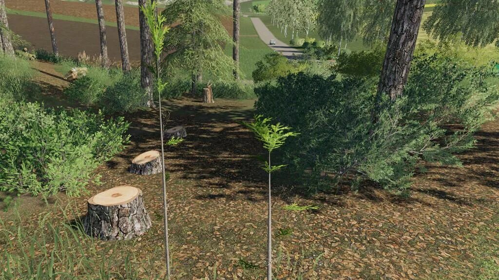 Игра где рубят деревья. Trees v1.0 fs19. фс 19 саженцы деревьев. мод fs19 саженцы. fs 22 деревья.