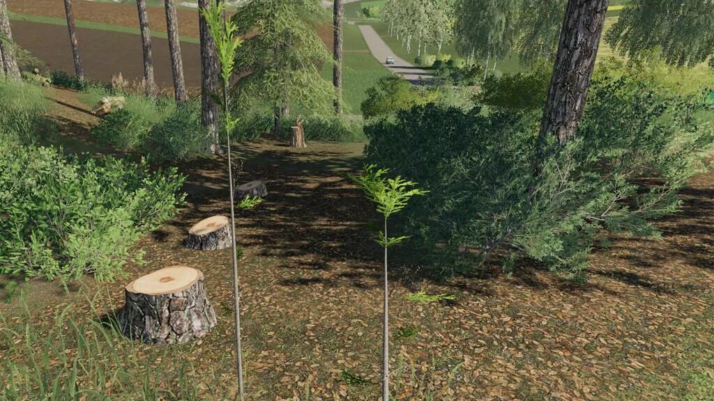 Trees v1.0 fs19. Мод fs19 саженцы. Деревья для ФС 22. Посадка леса FS 22.