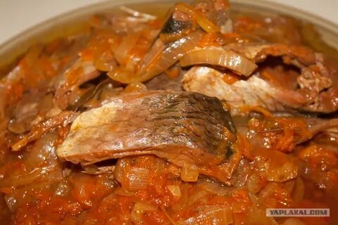 Щука с морковью и луком