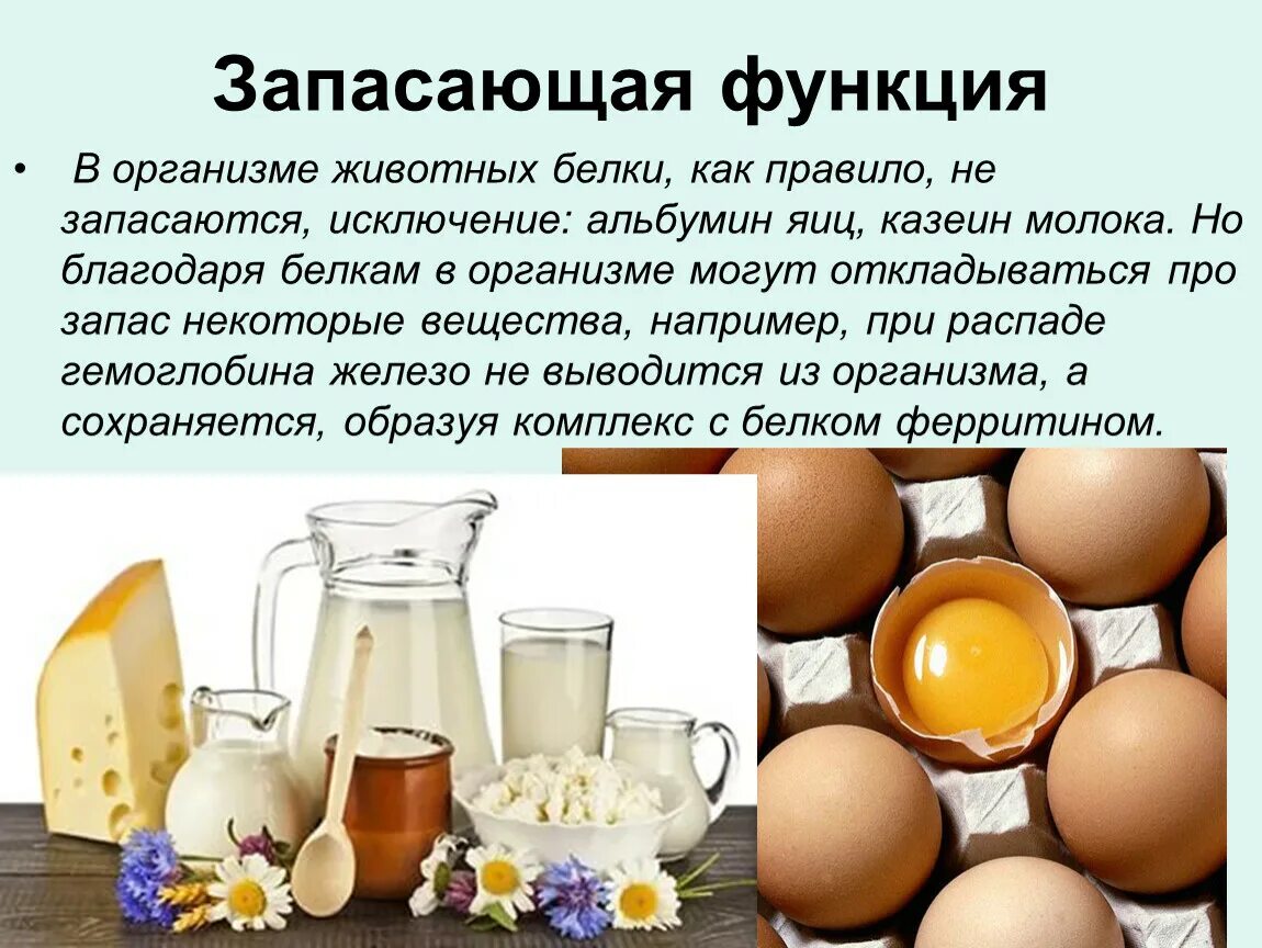 Токсины белки функции