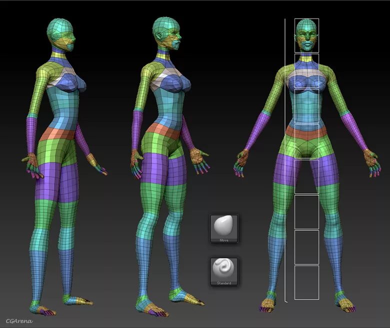 Топология тела персонажа. Цифровая модель человека. Топология моделирования персонажа. Моделирование игрового персонажа.