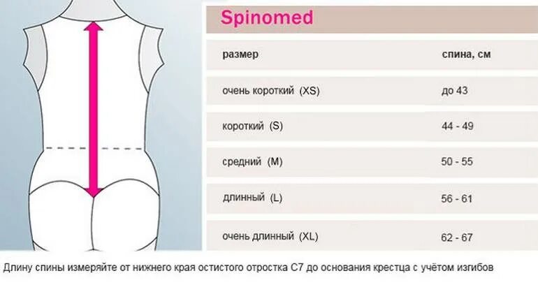 Поясница размер. Размеры корсетов для позвоночника таблица. Измерить размер поясницы. Для спины корсет мерки. Корсета для позвоночника измерить размер.