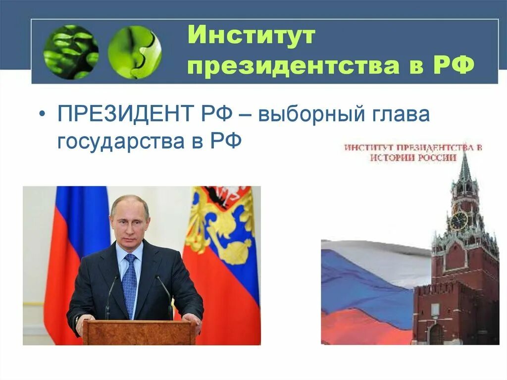 Институт президентства в рф егэ. Институт президентства в РФ. Глава государства (институт президентства). Институт главы государства в Российской Федерации. История института президентства.