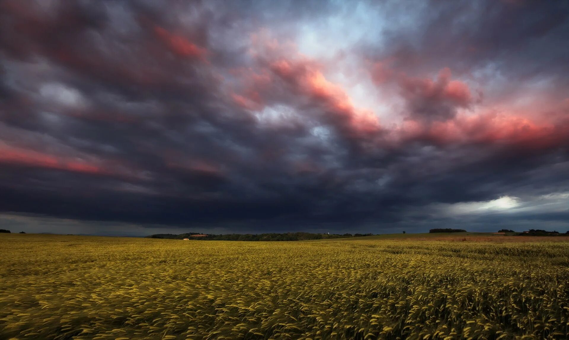 Cloud field