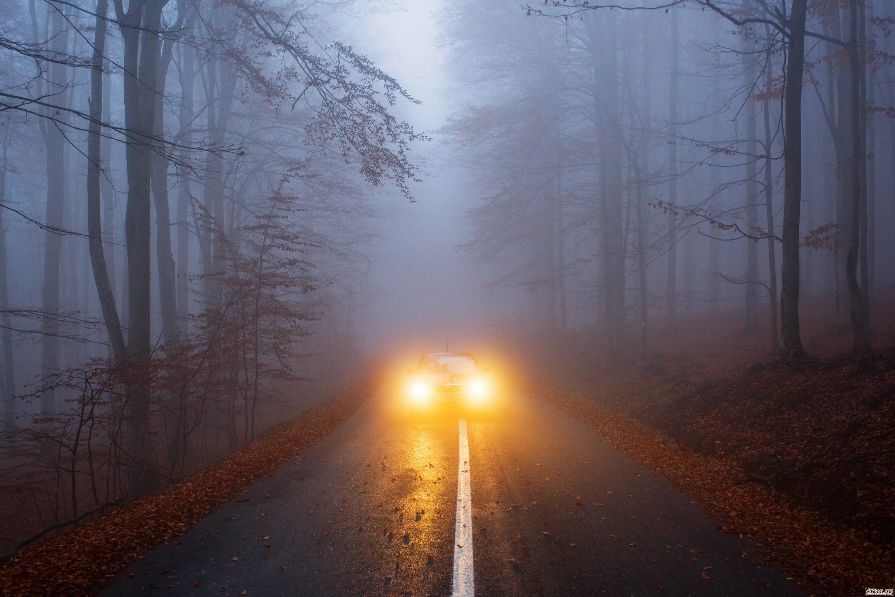 Включи свет дорога. Дорога в тумане. Свет в тумане. Туман на дороге ночью. Дорога в тумане свет фар.