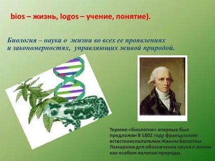 Репродукция презентация по биологии