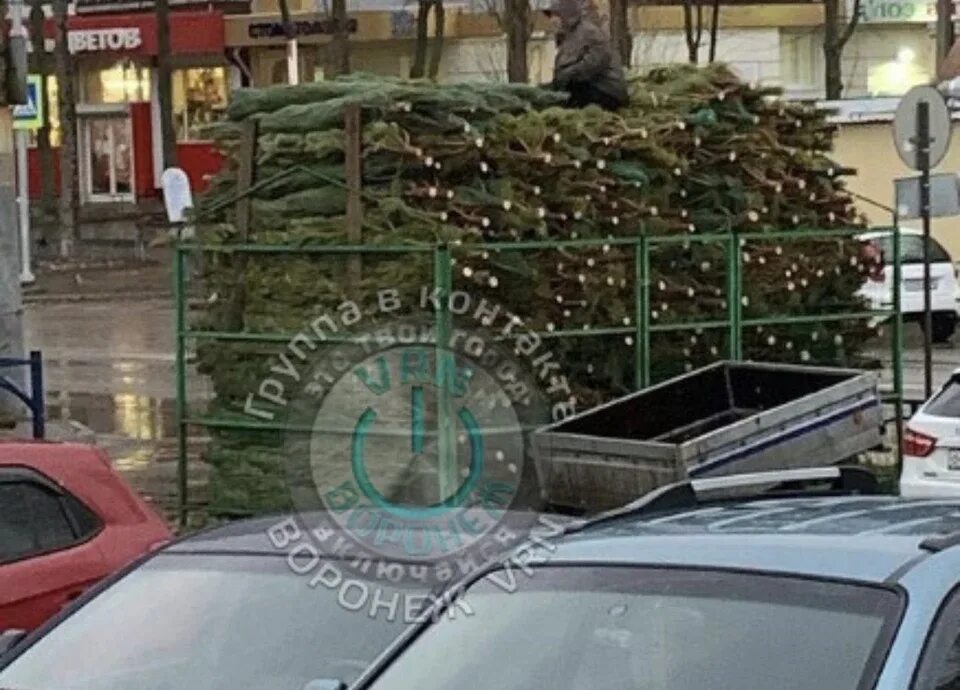 Маркет елка воронеж. Маркет елка воронеж. Маркет елка воронеж. Маркет елка воронеж. Елки маркет новосибирск.