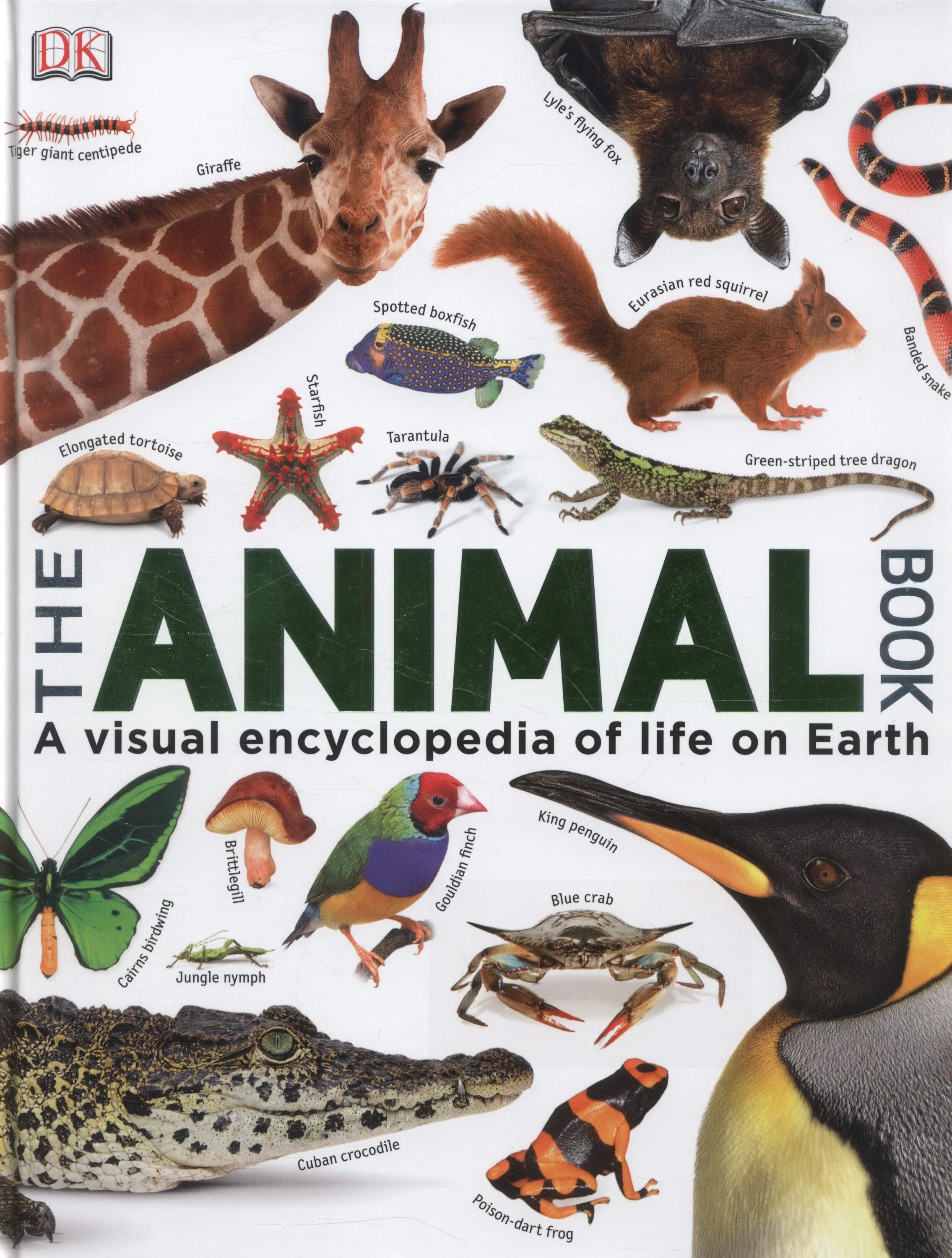 Книга animals animals