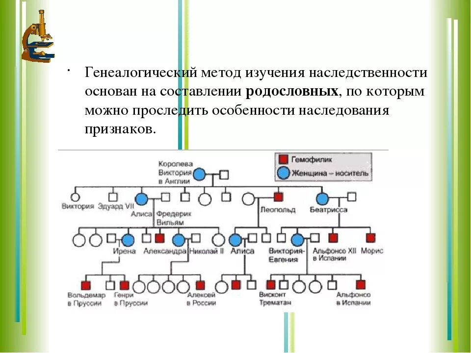 Метод изучения генетики основанный на анализе родословной. Генетика задачи родословная. Родословная по биологии 10 класс схема. Генеалогическое Древо семьи биология 10 класс. Схема составления родословной.