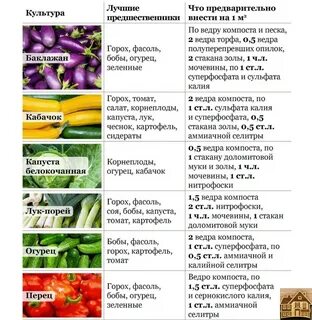 Learn how to grow different vegetables. Save to not lose ! A helpful guide with 