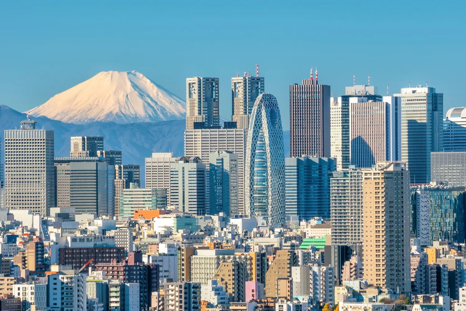 Япония крупнейший в мире. Япония Токио. Япония город Токио. Токио столица. Токио центр города.