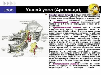 Ушной узел