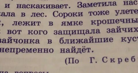 Длиннохвостые разбойники