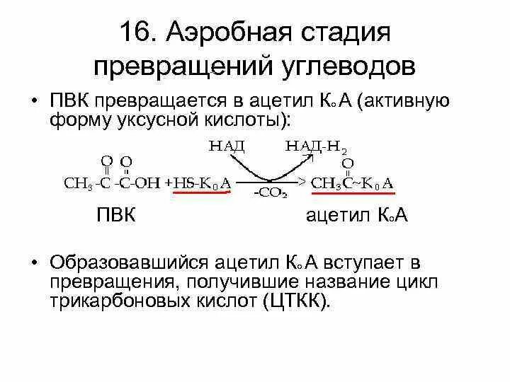 Обмен пировиноградной кислоты биохимия. ПВК В ацетил. Превращение углеводов. Ацетил КОА активная форма. Аэробного расщепления