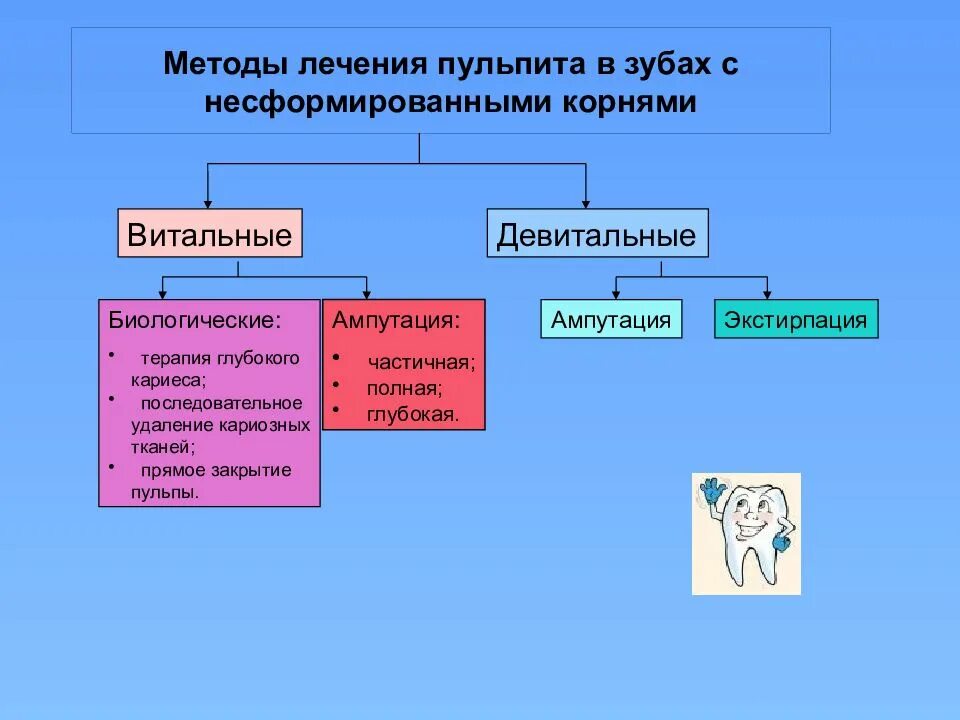 Лечение пульпита с несформированными. Пульпит зубов с несформированными корнями. лечение пульпита с несформированными корнями. пульпит постоянных зубов с несформированными корнями. лечение пульпита у детей с несформированными корнями.