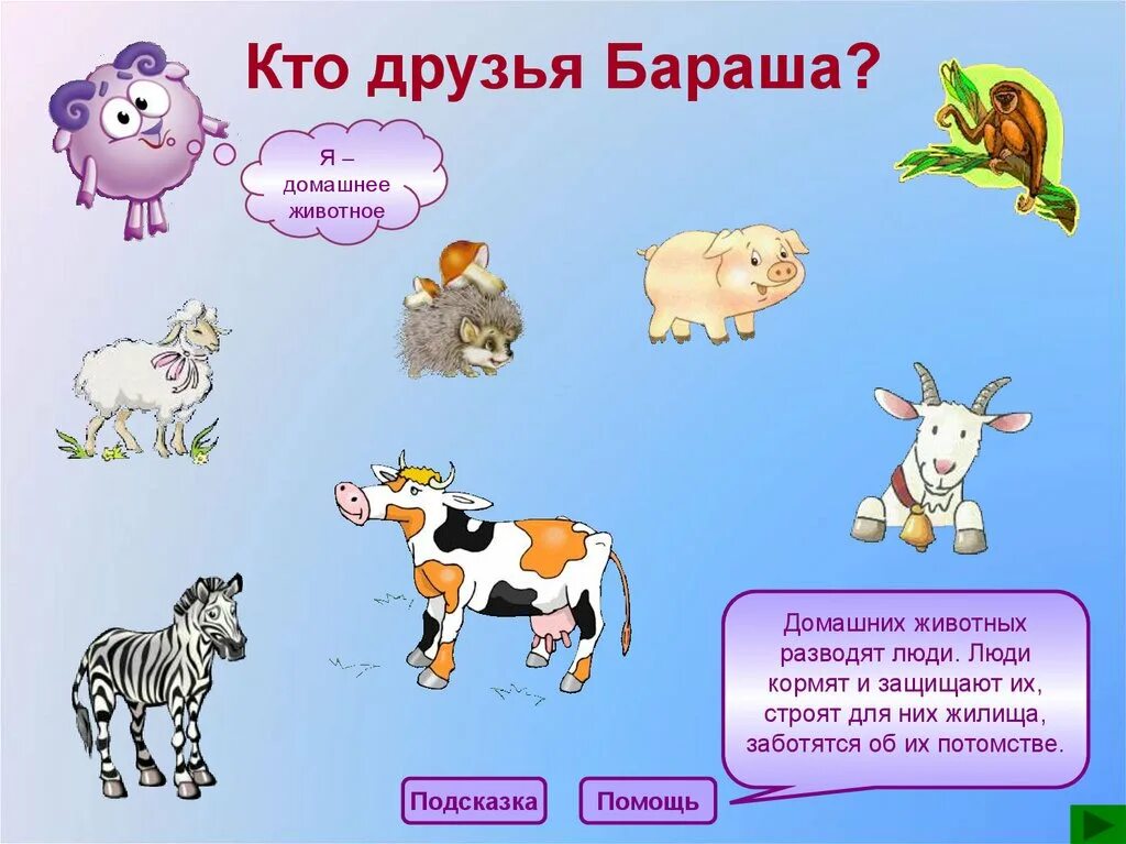 Люди которые разводят животных. Для чего люди разводят домашних животных. каких домашних животных разводит человек. для чего люди разводят домашних животных 2 класс. подсказка животные.